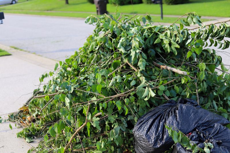 Cost of Bush Removal — Cost of Bush Removal