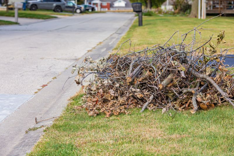 Cost of Bush Removal — Cost of Bush Removal
