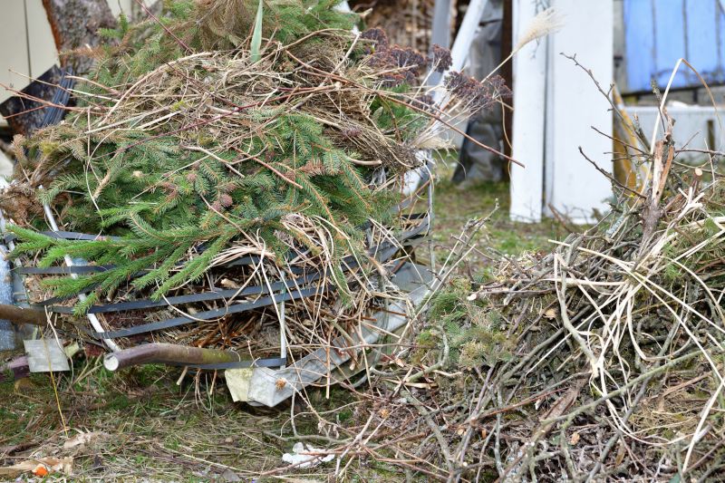 Cost of Bush Removal — Cost of Bush Removal