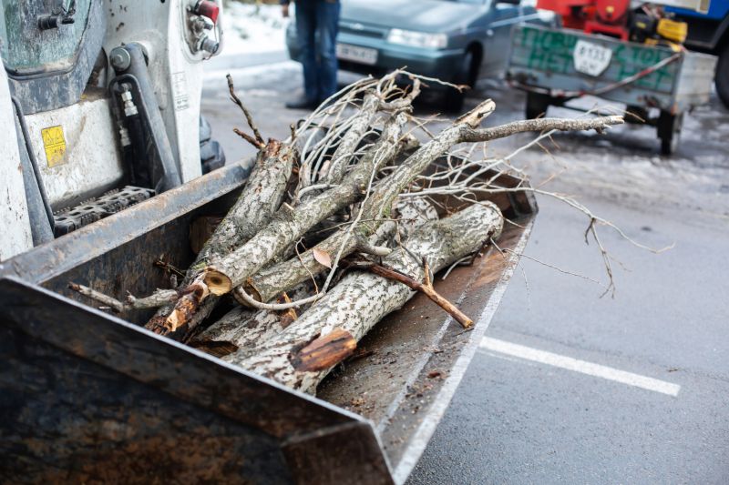 Cost of Bush Removal — Cost of Bush Removal