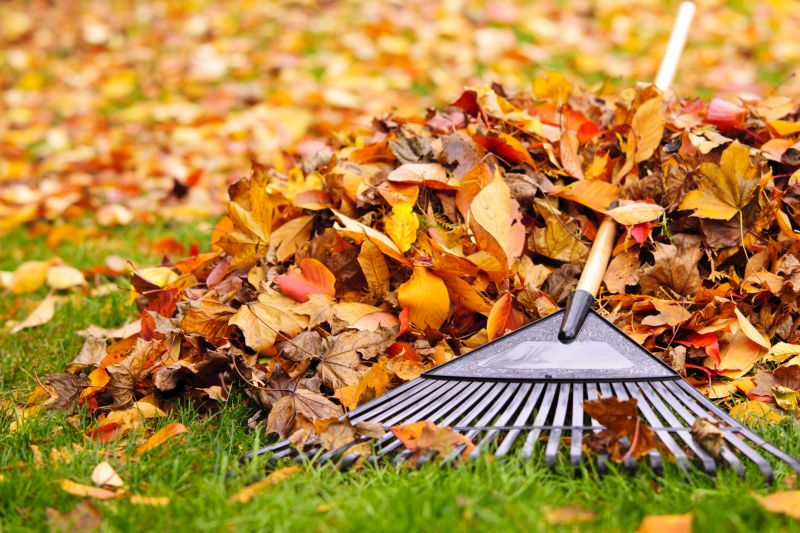 Seasonal Lawn Maintenance Tools