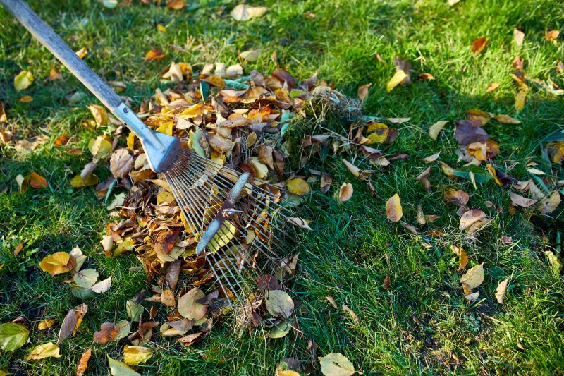 Leaf Raking
