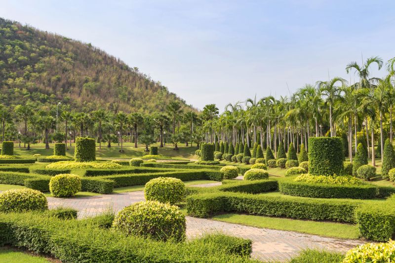 Trimmed Shrubs with Symmetry