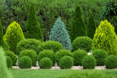 Enhances Curb Appeal